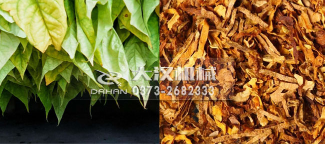煙葉 煙葉